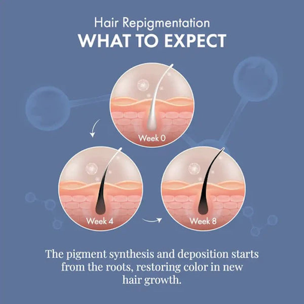 Thrive Anti-Grey Hair Prime Serum - Reverse grey hair starting 8 weeks, 50ml